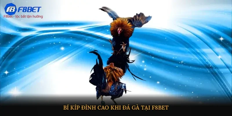 Bí kíp đỉnh cao khi đá gà tại F8BET