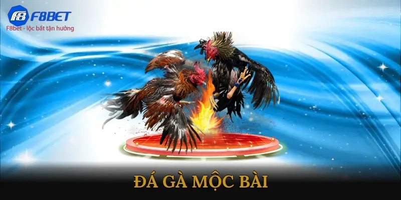 Đá gà mộc bài